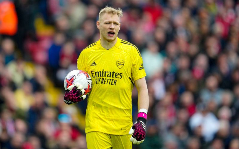 .Anh thể hiện tiềm năng lớn với hàng loạt pha cứu thua tại Premier League.